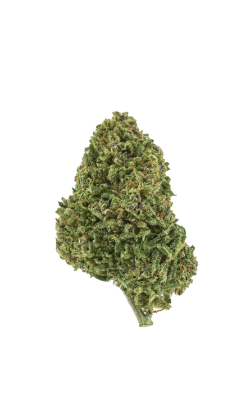 Girls scout cookies - Aroma blomst