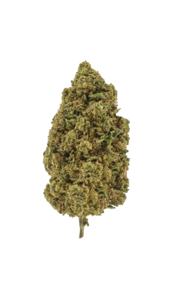 Watermelon - Aroma blomst