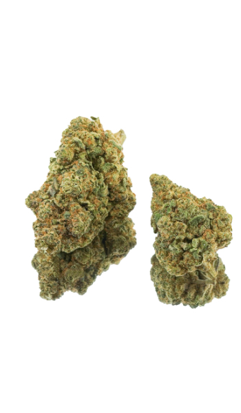 Gorilla Glue - Aroma blomst