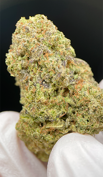 Wedding Crasher CBD >17%