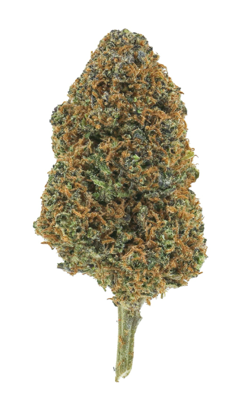 Purple Haze | CBD >15%